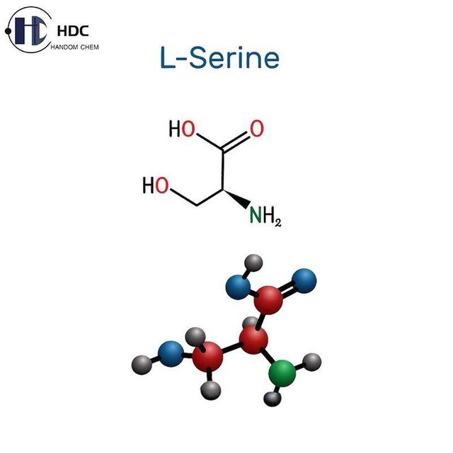 L-serine used in food and health products as a nutritional enhancer and flavoring agent - Image 3