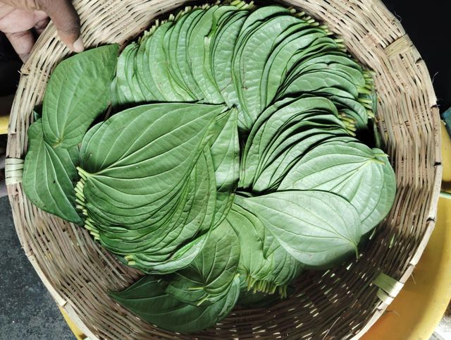 fresh betel leaves - Image 3