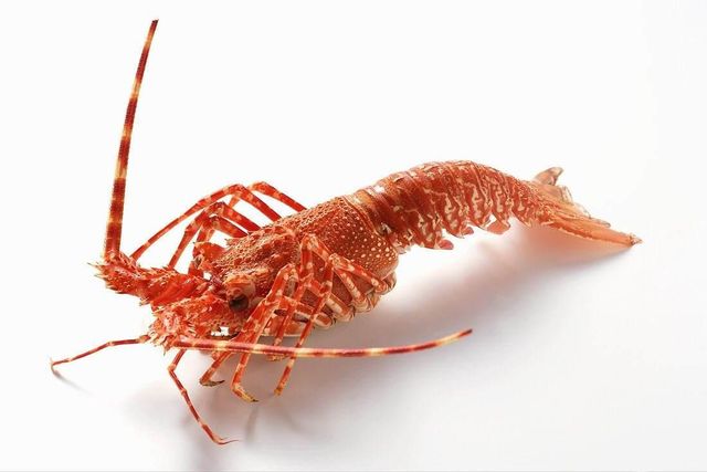 Frozen Crayfish Tail Portion High Quality Seafood Product For Bulk Purchasing And International Market Delivery - Image 3