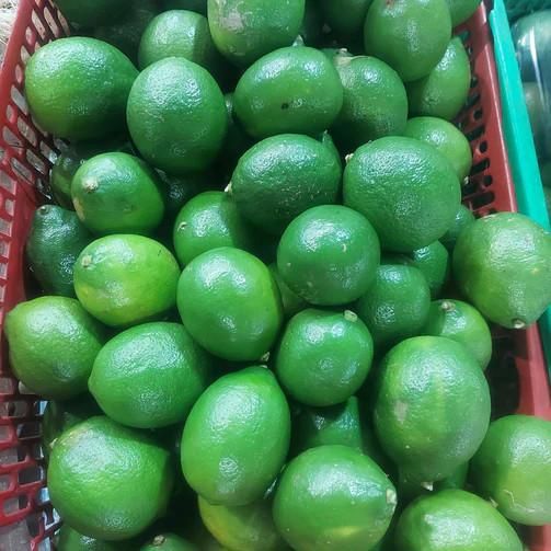 Fresh Lemon Fruits Top Sales Natural Citrus From Vietnam Best quality wholesale Seedless Green Lime Premium Quality - Image 2
