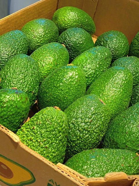 Hass avocados 🥑 - Image 1
