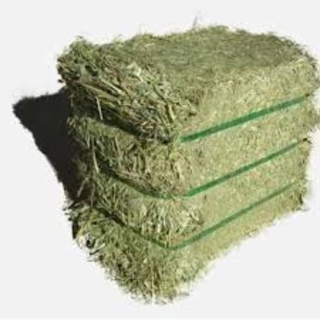 Premium 18% Protein Alfalfa Hay For Livestock Feed High Energy Green Alfalfa Hay For Horses And Dairy Farms Bulk Orders - Image 1
