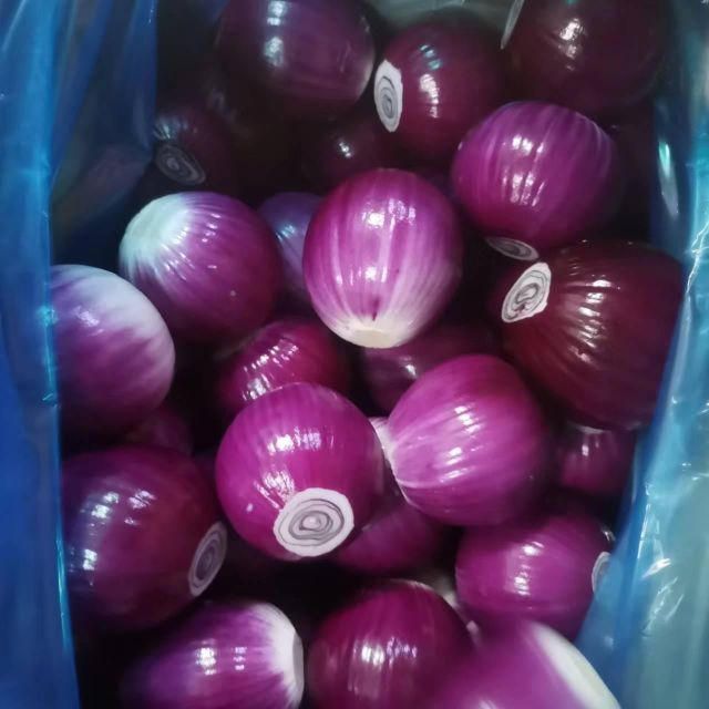 Vacuum Packed Fresh Peeled Onion for Cooking and Food Processing - Image 2
