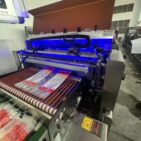Multifunctional 3 Side Sealing with Gusset Plastic Bag Double Feeding Zipper Pouch Making Machine - Image 6