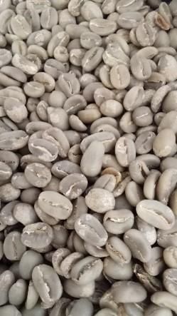 Arabica Green Bean Coffee Grade 1 AA Specialty Grade 1 Max. Moisture (%) 12 Processing Type Semi Wash Place of Origin West Java, - Image 2
