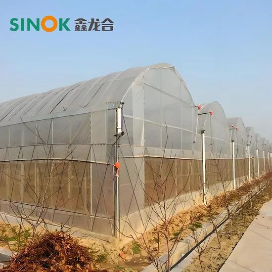 Multi Span Plastic Greenhouse with Hydroponics Planting System/Drip Irrigation System - Image 1