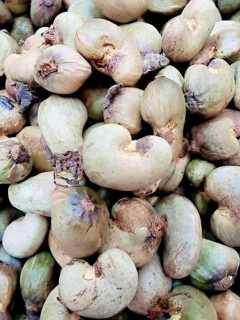 Raw Cashew Nuts - Image 3