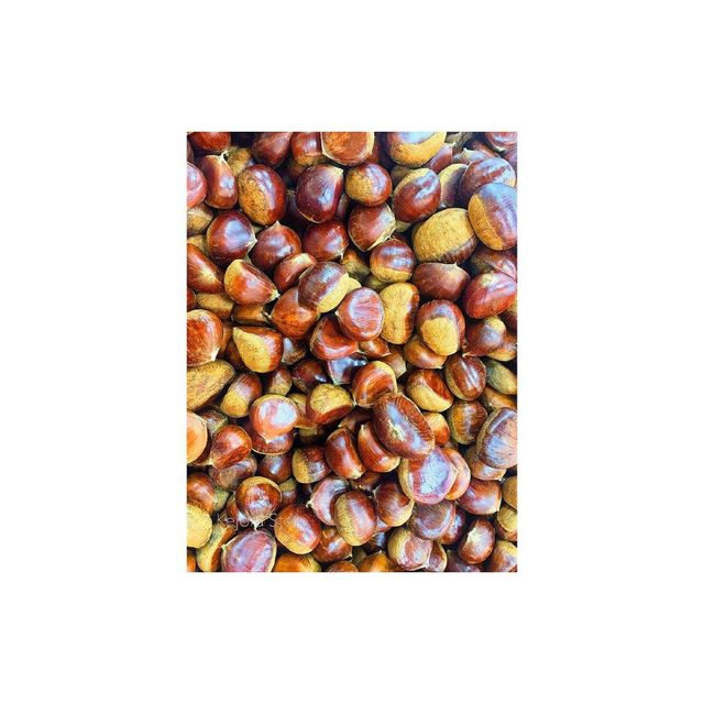 Fresh raw chestnuts in stock for bulk purchase with global export options - Image 2