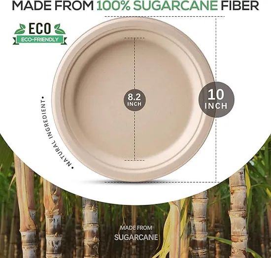Biodegradable Disposable Tableware for Outdoor Barbecues Origin China HS Code 48236910 Trademark OEM/ODM Printing - Image 6