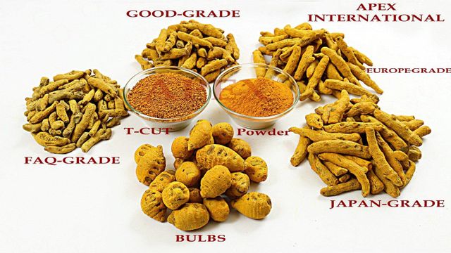 Dried Turmeric Fingers, Dried Turmeric Bulbs,Curcuma longa Finger,Curcuma longa, Turmeric Finger whole, Turmeric Finger, Dry Turmeric Finger, Turmeric Finger Roots, Turmeric Finger Bulk Supplier From India, Turmeric Root Bulk Supplier From India - Image 4
