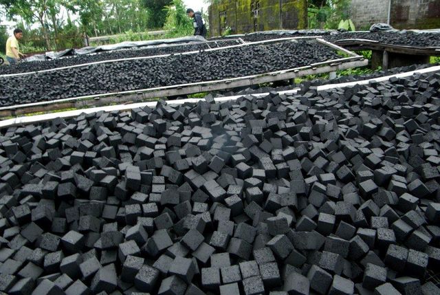 Briquette Coconut - Image 2