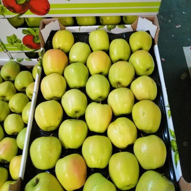 Fresh Apples – product photo 5, product detail gallery