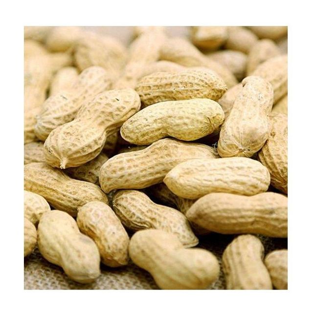 Raw / Roasted salted peanuts for sale at best price - Image 1