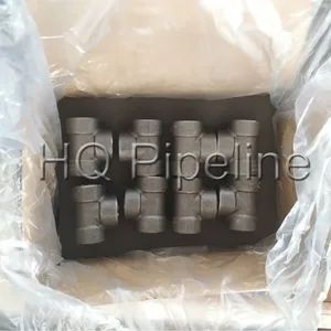 Stainless Steel SS316L NPT/Bsp Threaded Bushings Forged Fittings - Image 3