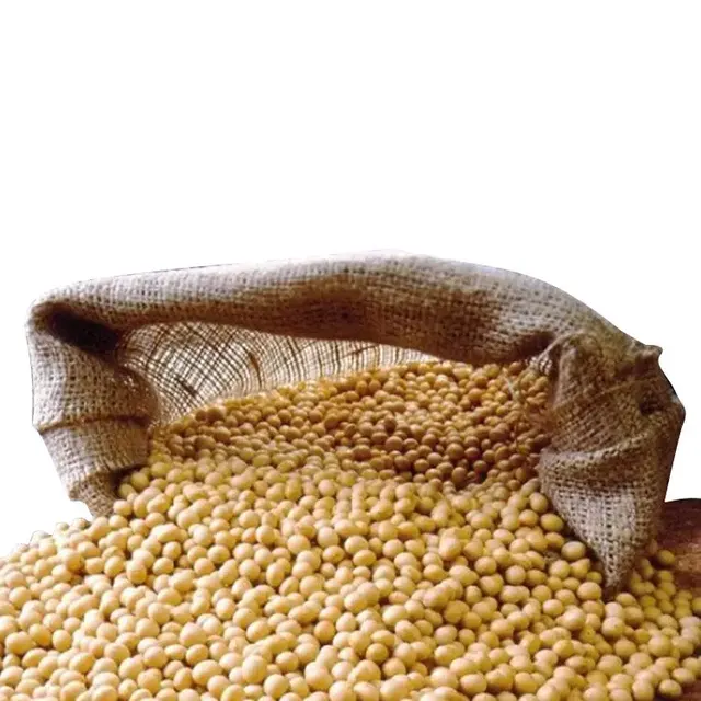 Fresh Harvest Soybeans – Premium Agricultural Crop Ready for Export and delivery worldwide - Image 4