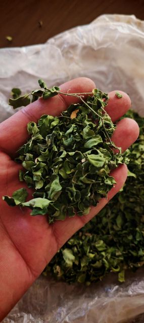 Premium Organic Dried Moringa Oleifera Drumstick Leaves and Fine Leaf Powder Bulk Export Grade - Image 2