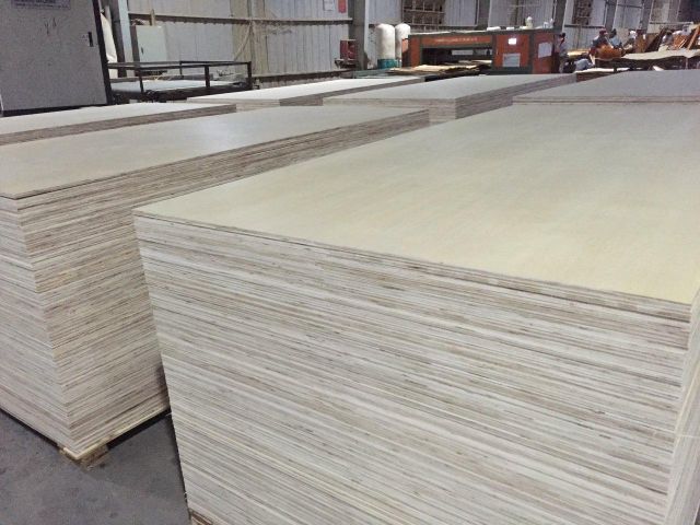 White Birch Plywood 1250mm x 2500mm 5mm-25mm BB/CC - Image 4