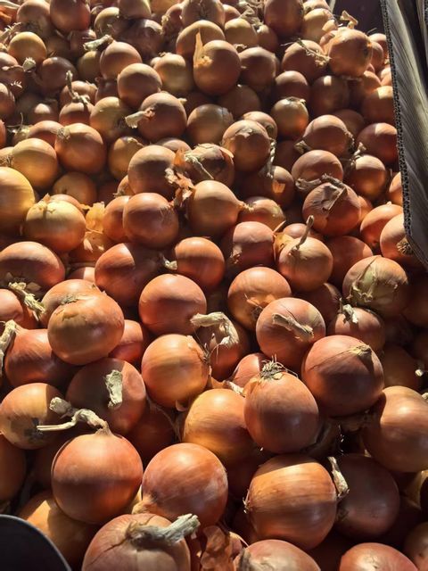 Fresh Yellow Onion, China Origin, Factory Direct Supply – product photo 3, product detail gallery