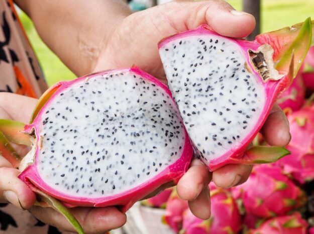 Dragon Fruit – product photo 4, product detail gallery