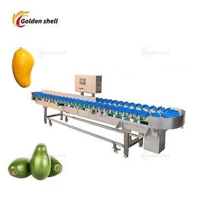 Stainless Steel Fruit Roller Sorting Machine - Image 4