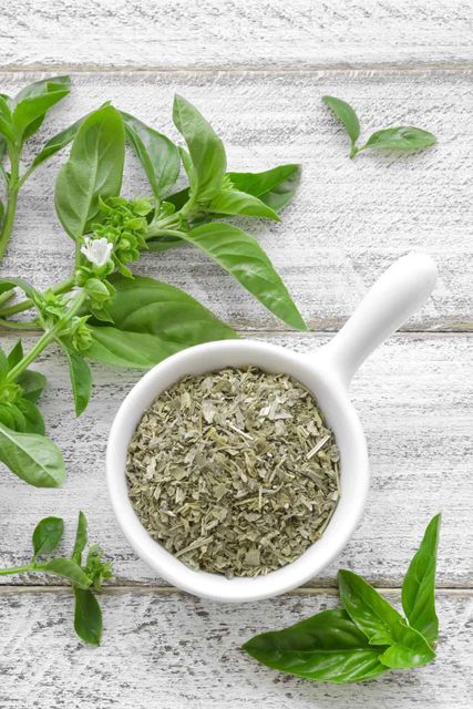 Basil - Image 3