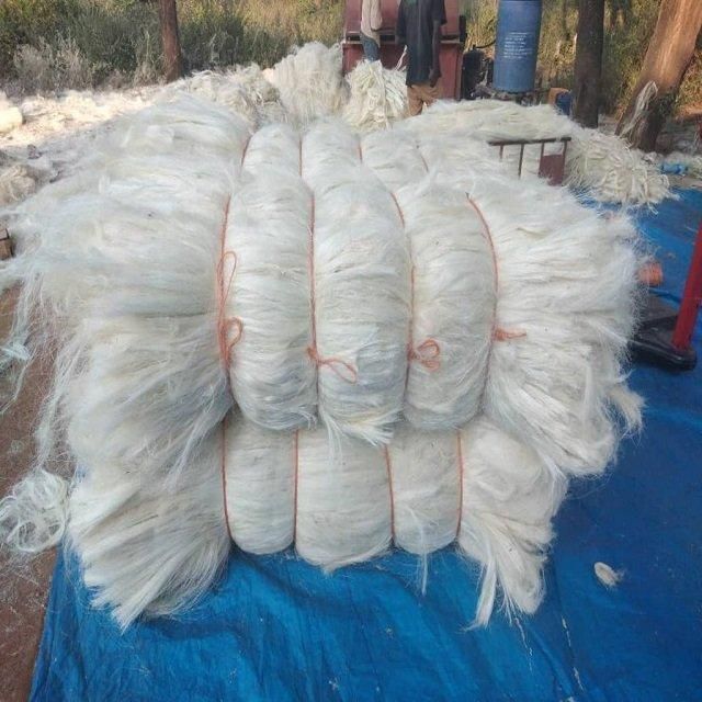 UG Grade sisal fiber Eco-Friendly Flame Retardant Sisal Hemp Fiber for Spinning Non-Woven Fabric Applications and Industry Use Sisal Hemp Fiber for Spinning Non-Woven Fabric - Image 4