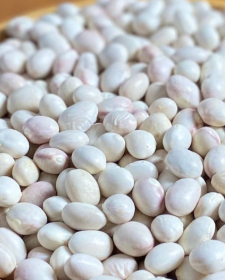 Bean Shape 9 mm Taste Amazing Packaging 1 kg - 2.5 kg - 5 - Image 1