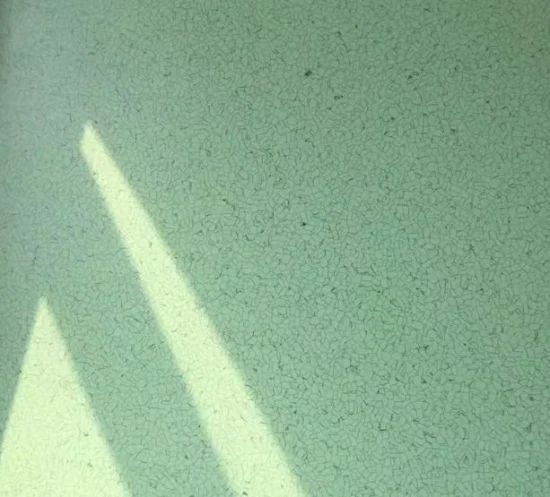 Anti-Static Project PVC Homogeneous ESD Floor Mat Type Mat Origin China Trademark ECW Condition New Model NO. M-PVC HS Code 4016910000 - Image 2