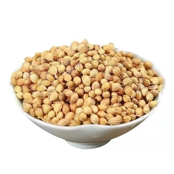 Premium Quality 100% Pure Organic Coriander Seeds Fresh Aromatic Herb Spice 500g/1kg Bulk Export Dried No Artificial Colors - Image 4