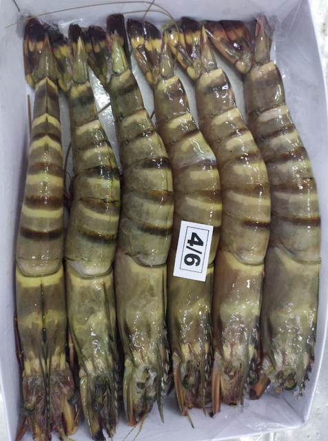 LOBSTER/BLACK TIGER PRAWN Type Lobster/Prawn Packaging Cold - Image 3