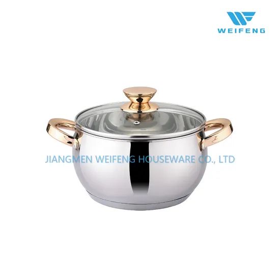 Apple Shape Ss Cookware Set with Golden Plated Handle, Kitchen Ware - Image 1