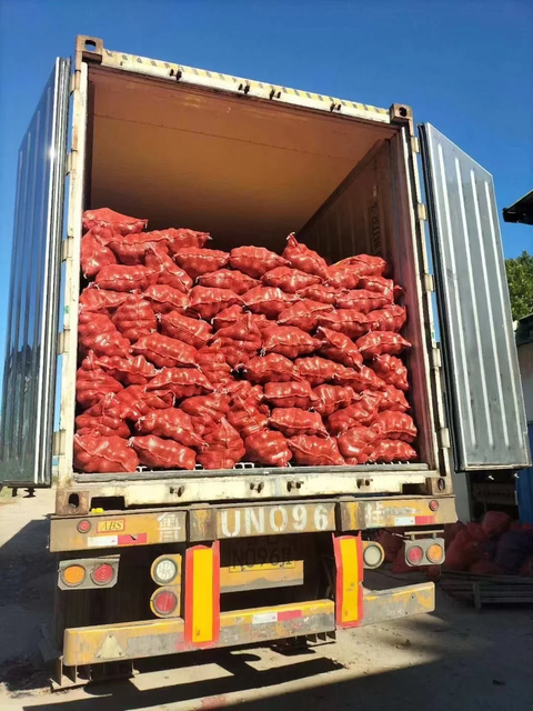Fresh Mixed Onions – Red, Yellow, White and Shallot Export Supply - Image 3