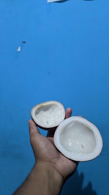 Edible Copra Impurities Max. 1% Oil Content Min. 62–65% Color White To Light Brown Moisture Content Max. 6–7% Free Fatty Acid Content Max. - Image 3