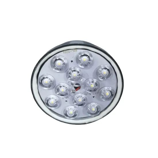 Safe Lighting Dimmable DC36V LED Poultry Light Bulb for Chicken Farm - Image 4