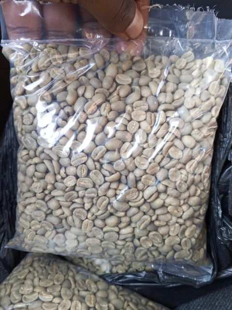 WASHED ARABICA BUGISU AA - Image 3