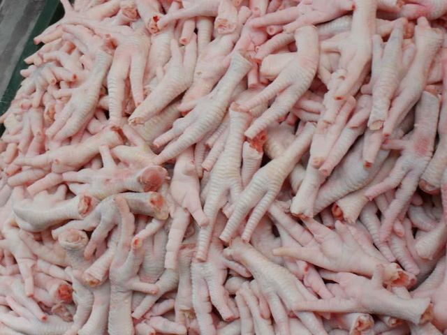 BRAZIL FROZEN CHICKEN PAW - Image 3