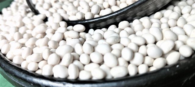 2024 Ethiopian Origin White Pea Beans Hand-Picked Round shape Wholesale Dried New Crop Available in Bulk Quantity - Image 3