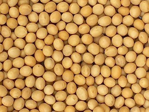 Premium Grade Non-GMO Soybeans Great for Soy Milk and  Organic Non-Certified 2016 - Image 3
