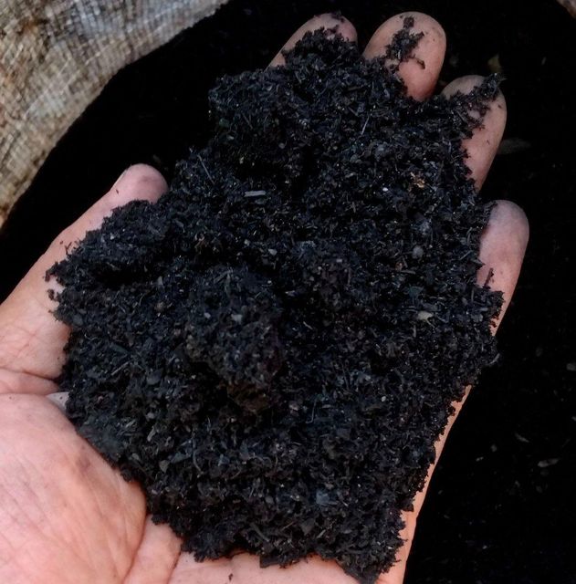 Coconut Shell Charcoal Grade A Packaging Bags Max. Moisture (%) 5% Processing Type Combustion and Heating Place of Origin North Maluku - - Image 4
