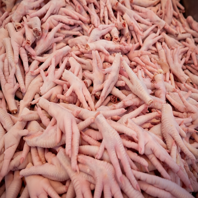 Wholesale Frozen Chicken Feet and Premium Halal Chicken Paws for Global Buyers - Image 2