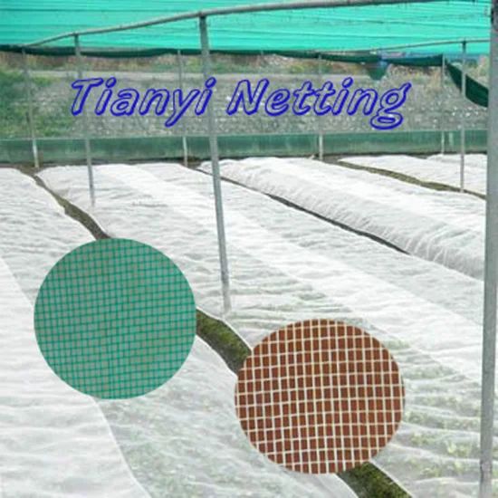 Agriculture Anti Insect Net, Window Screens, Insect and Mosquito Control, Dustproof - Image 1