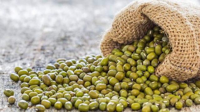 MUNG BEAN 10-25Kg Per Box Star Laboratories Brand 1 Year Shelf Life - Image 2