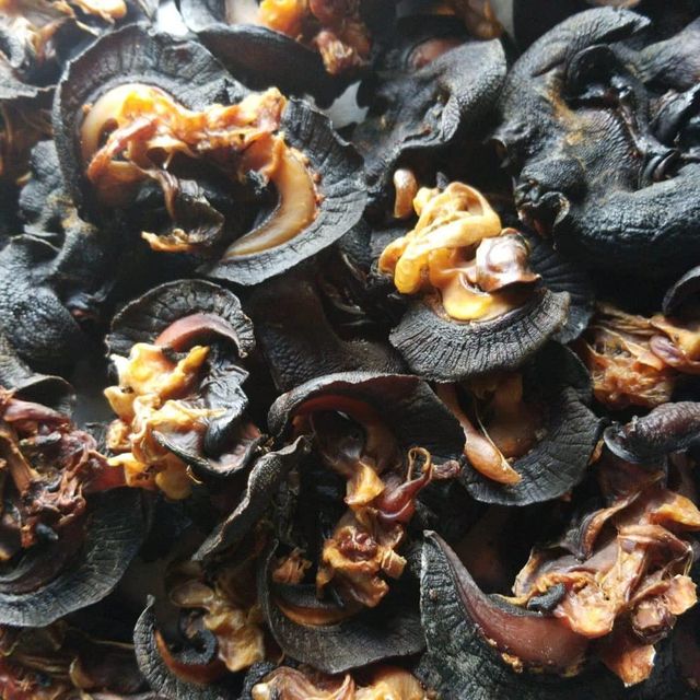 Premium Quality Multi-Colored Sour Salty Dried African Snails 25kg Bag Packaging Healthy Factory Direct - Image 5