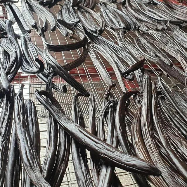 Great Quality 100% Natural 14-17 cm Bourbon Vanilla Dried Vanilla Beans From Madagascar - Image 3