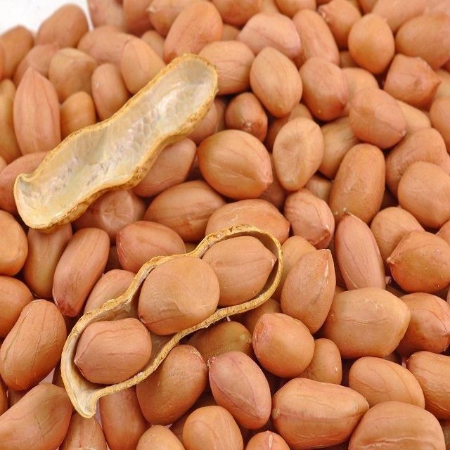 Buyers for Wholesale Jumbo Raw Peanuts High Quality Natural Bold Blanched Peanuts Kernels - Image 2