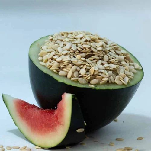Melon Watermelon Seeds Premium Bulk Roasted Affordable Snack High Protein Wholesale Packs for Families and Offices - Image 5