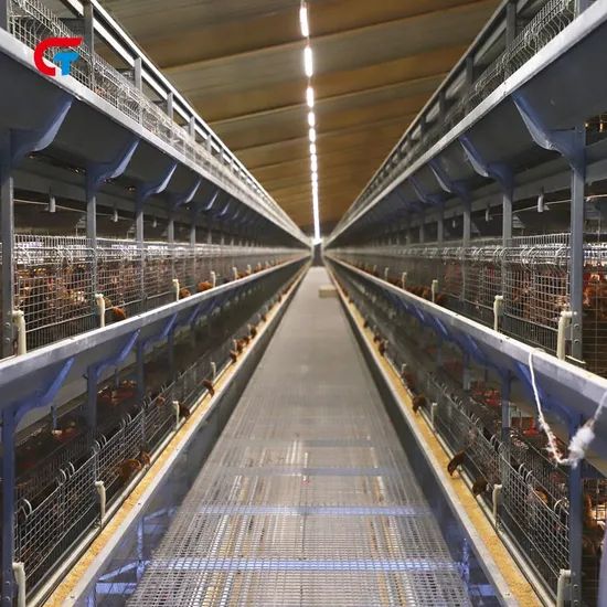 Aumotic New Technology Battery Layer Chicken Animal Cage - Image 5