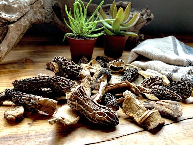 Dried Mushrooms For Gourmet Cooking Rich Flavor Natural Texture And Convenient Long Term Pantry Storage – product photo 4, product detail gallery