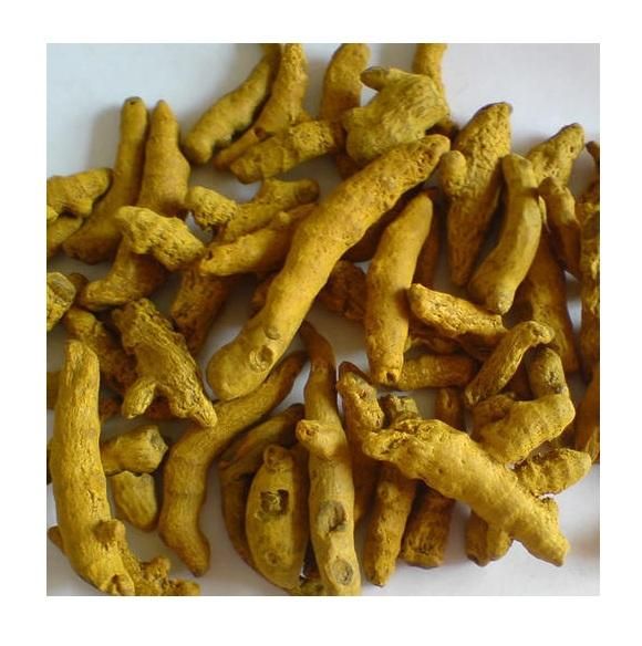 High Quality Erode Variety Curcuma Longa Dried Turmeric Finger - Image 4