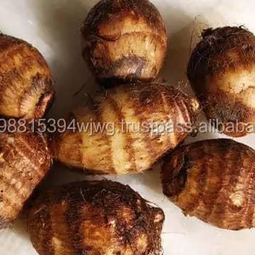 Premium Fresh Taro Root | Bulk Supply of High-Quality Edible Taro for Food Processing and Export Whatsap +255787979235 - Image 5